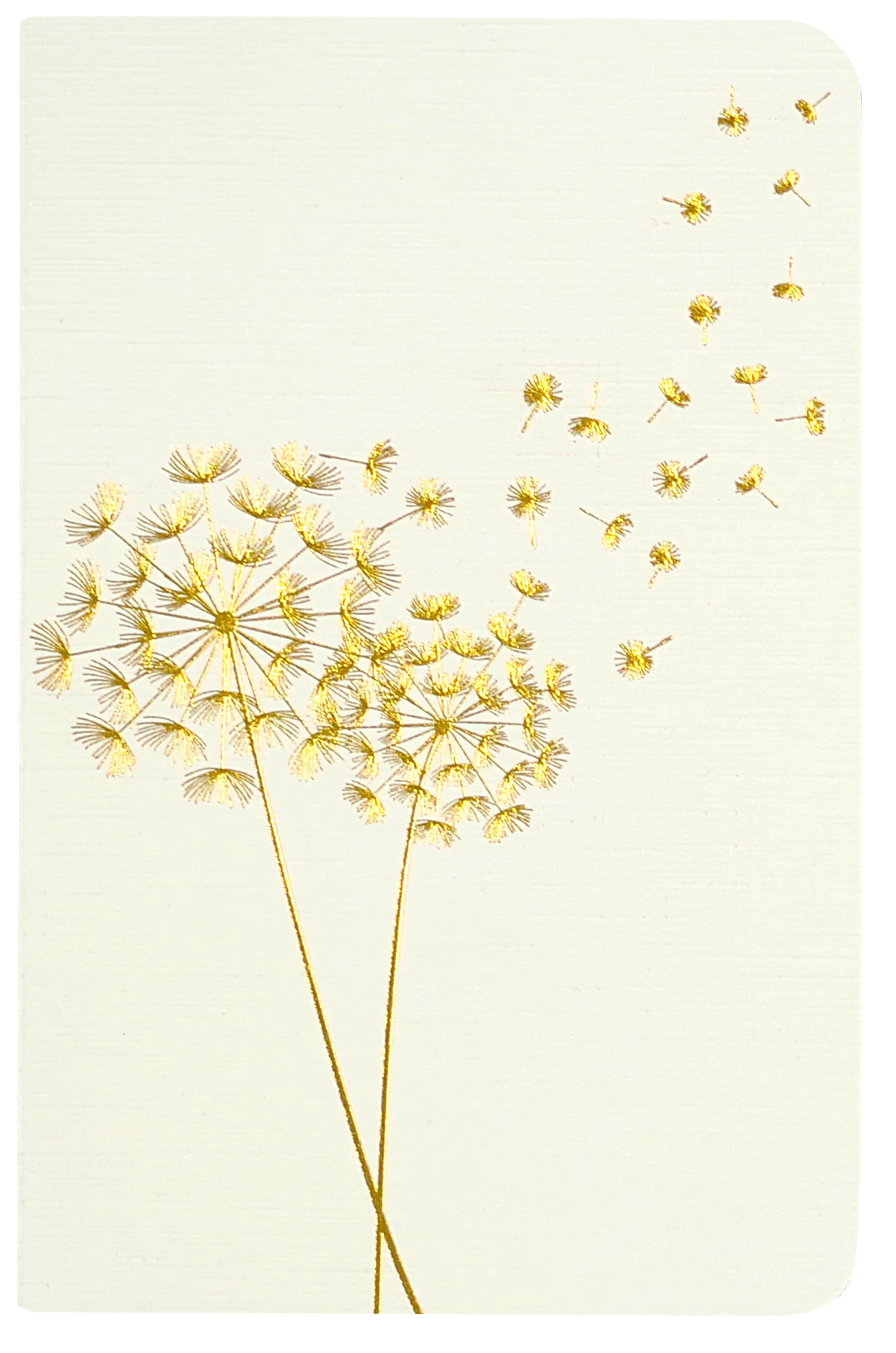 Jotter Mini Notebook Set: Dandelion Wishes