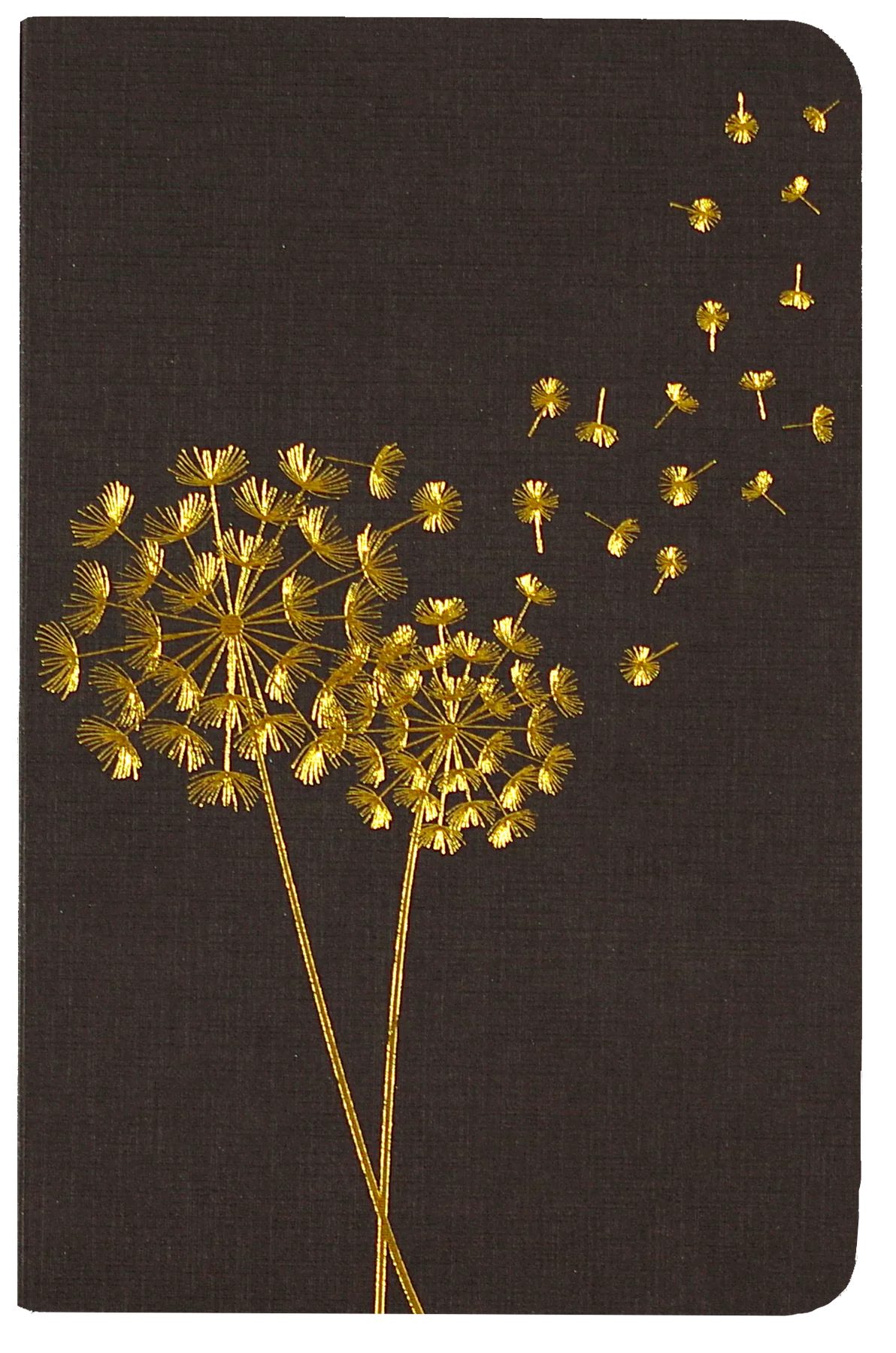 Jotter Mini Notebook Set: Dandelion Wishes