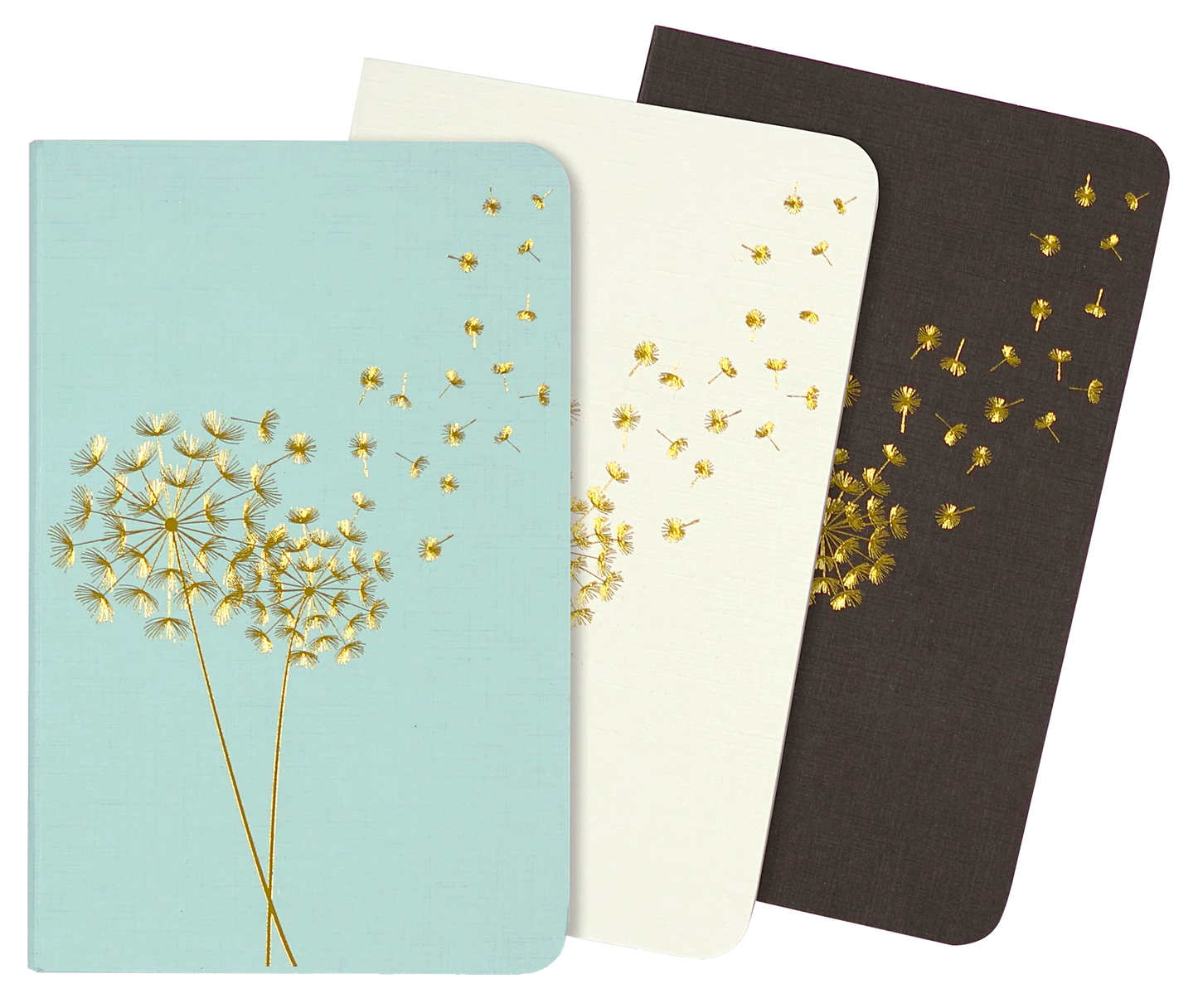 Jotter Mini Notebook Set: Dandelion Wishes