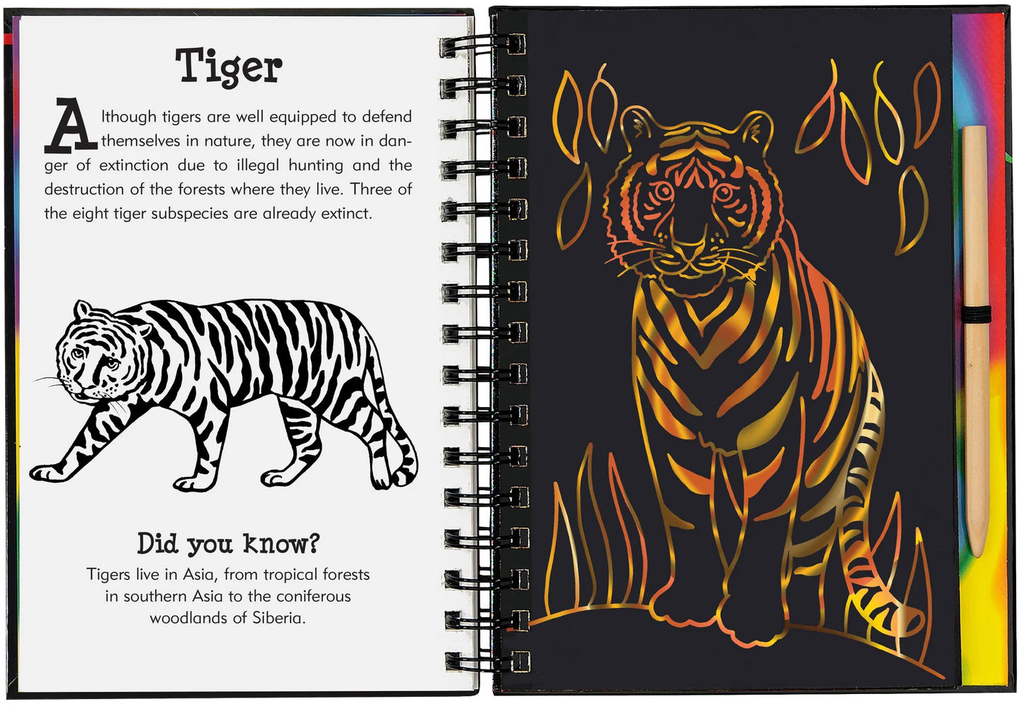 Wild Safari Scratch and Sketch