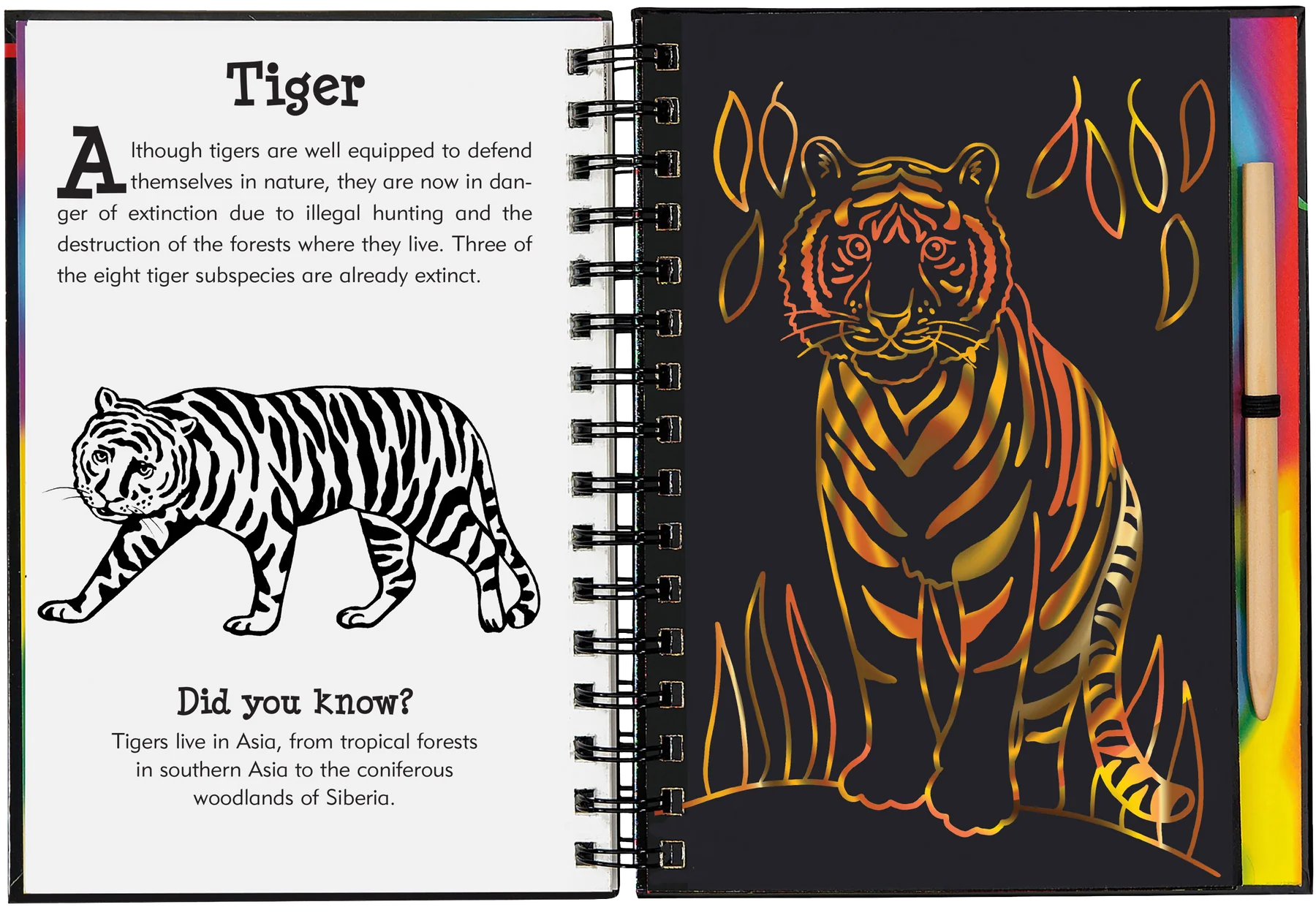 Wild Safari Scratch and Sketch
