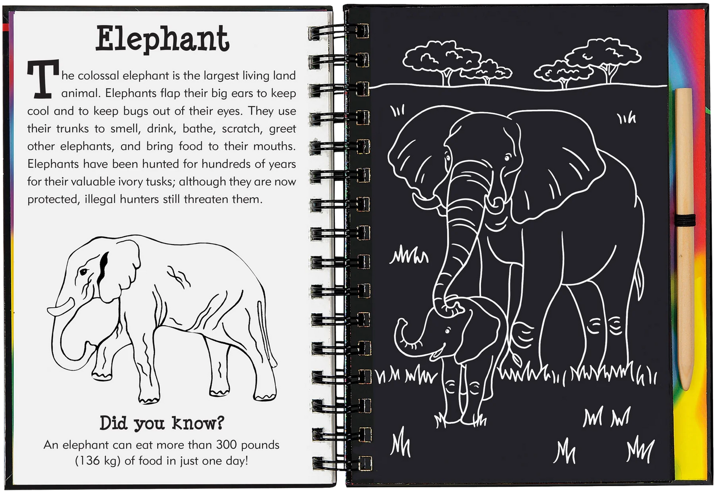 Wild Safari Scratch and Sketch
