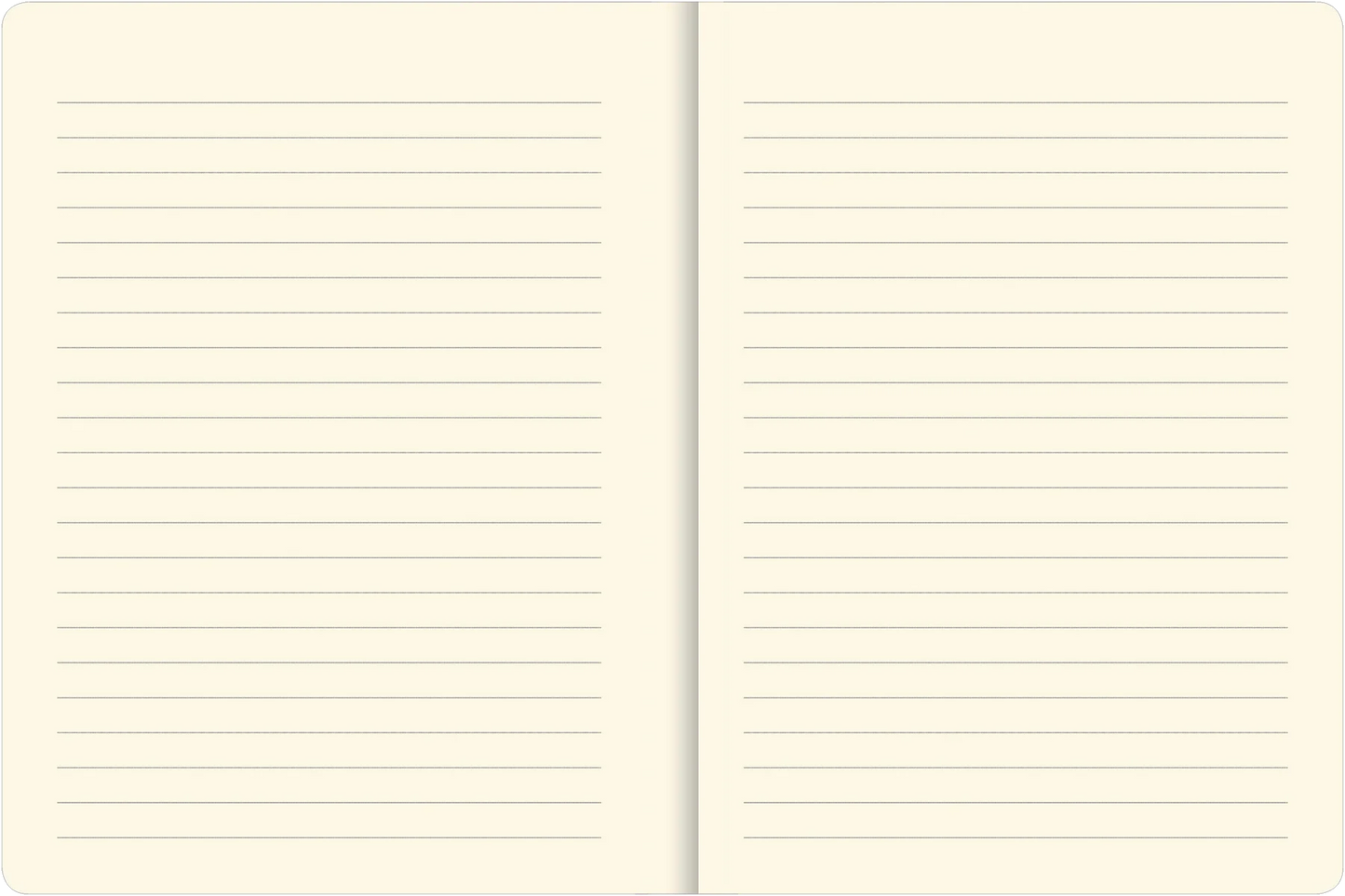 Birch Woods Journal