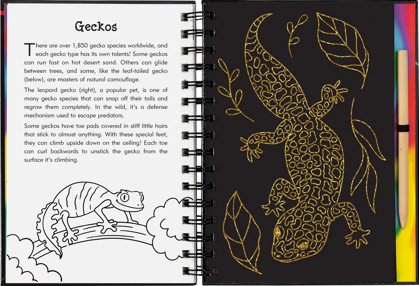 Reptiles & Amphibians Scratch and Sketch