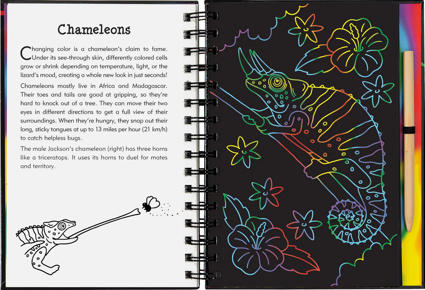 Reptiles & Amphibians Scratch and Sketch
