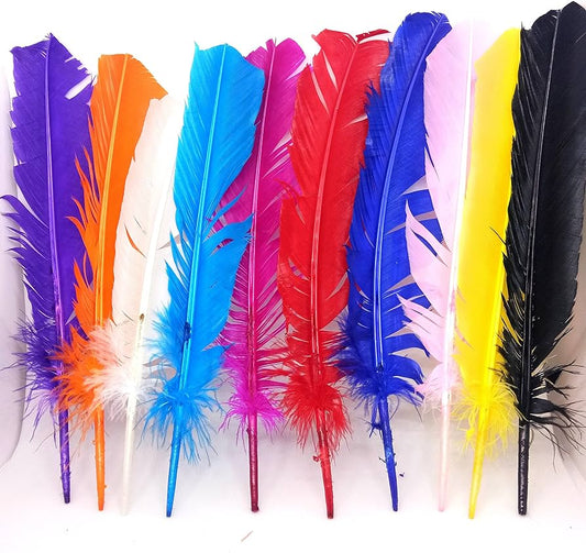 Colorful Feathers Plain Large