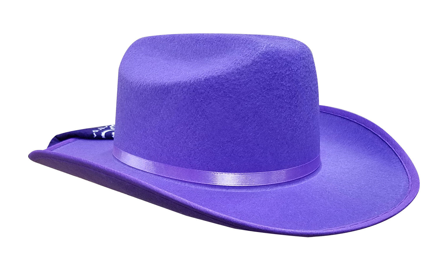 Jr. Cowboy Hat (Purple) with Bandanna