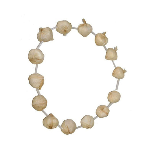 Necklace - Garlic