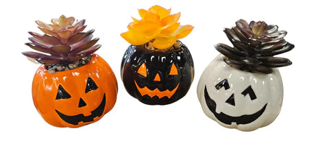 CERAMIC JACK-O-LANTERN SUCCULENT