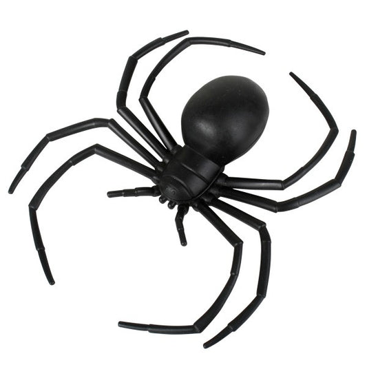 6" Black widow