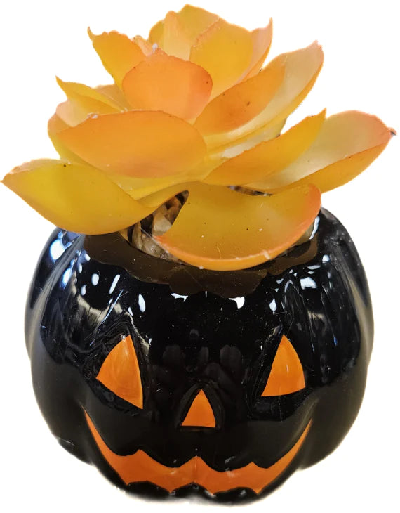 CERAMIC JACK-O-LANTERN SUCCULENT