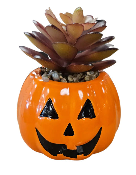 CERAMIC JACK-O-LANTERN SUCCULENT