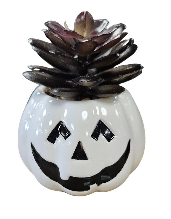 CERAMIC JACK-O-LANTERN SUCCULENT