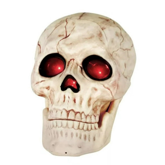 Skull  Light Up 10"