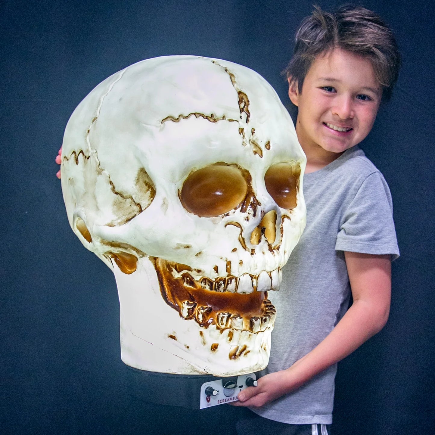 Skull Rotating