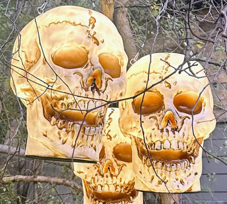 Skull Hanging