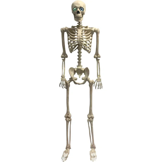 60" ANIMATED SKELETON MORPHING L/U EYES, TALKING