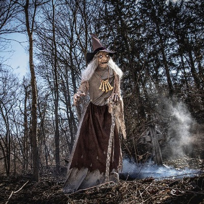 Animated Witch Prop with Servo-Motor