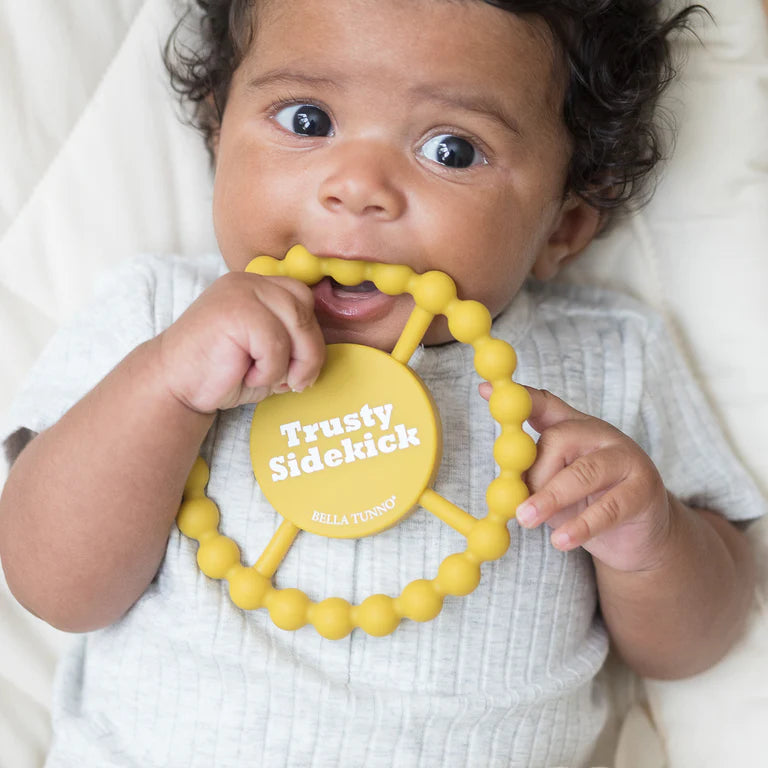 Trusty Sidekick Teether