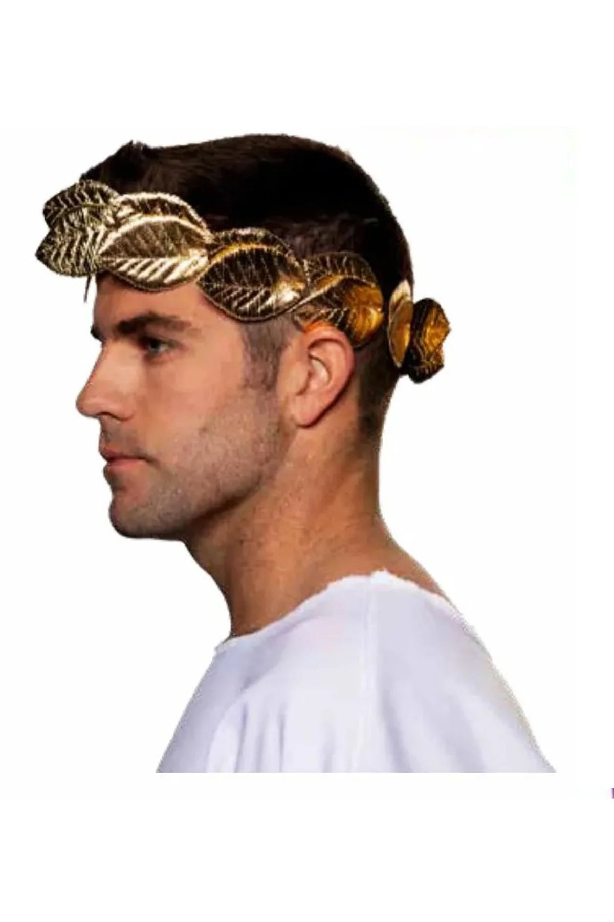Corona de hojas de oro