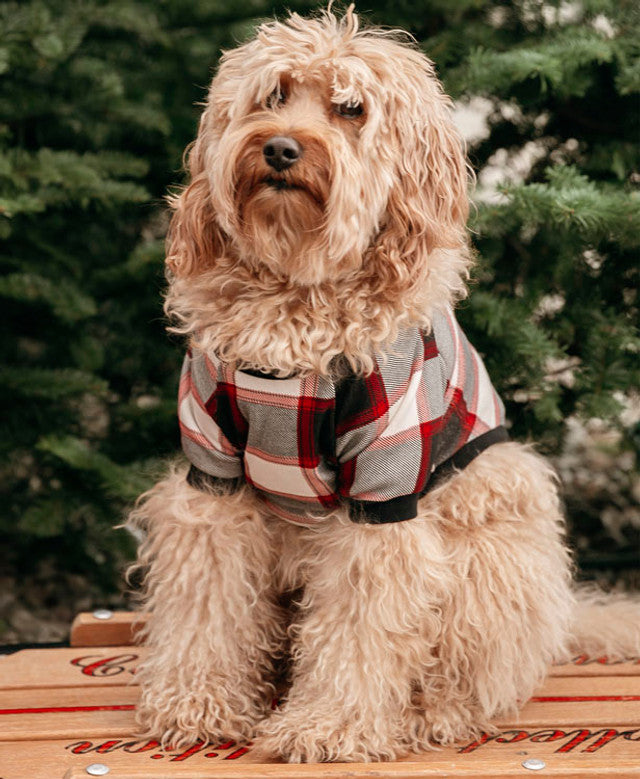 Black Plaid Dog Shirt