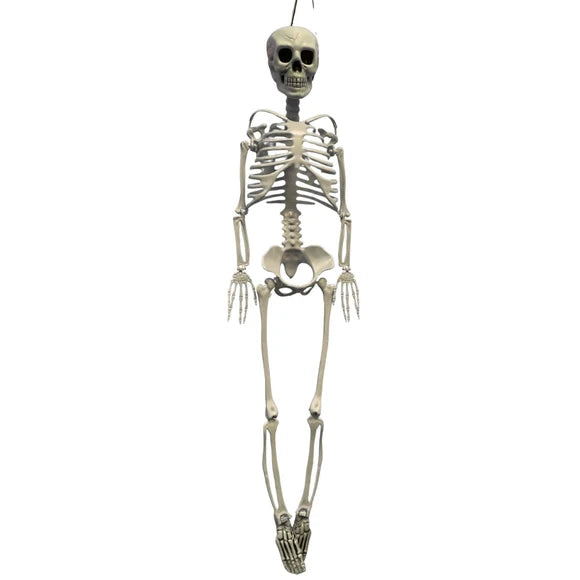 Poseable Halloween Skeleton Prop Decoration White