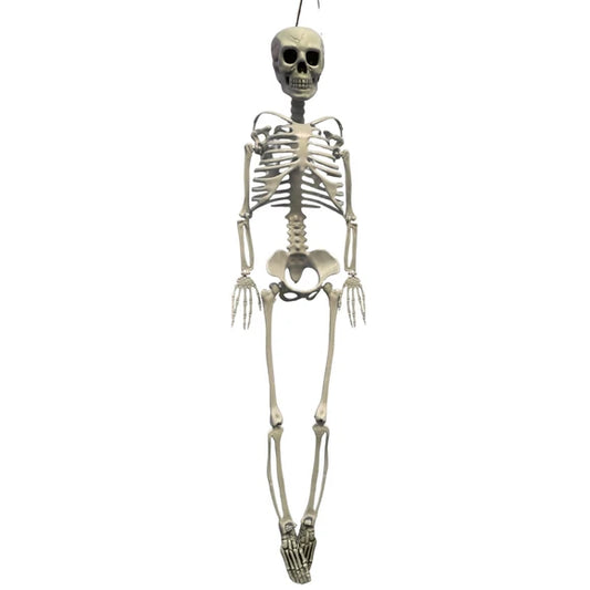 Poseable Halloween Skeleton Prop Decoration White