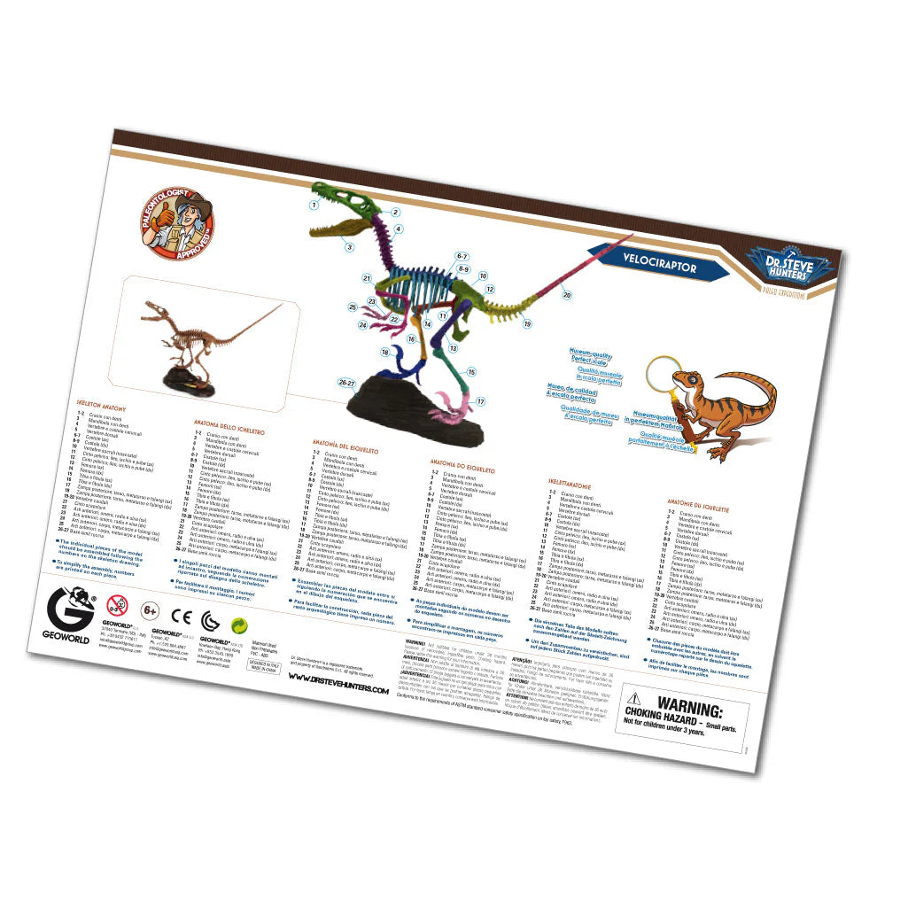 Paleo Expedition Velociraptor Replica Skeleton Kit