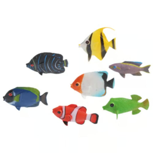 Mini Tropical Fishes