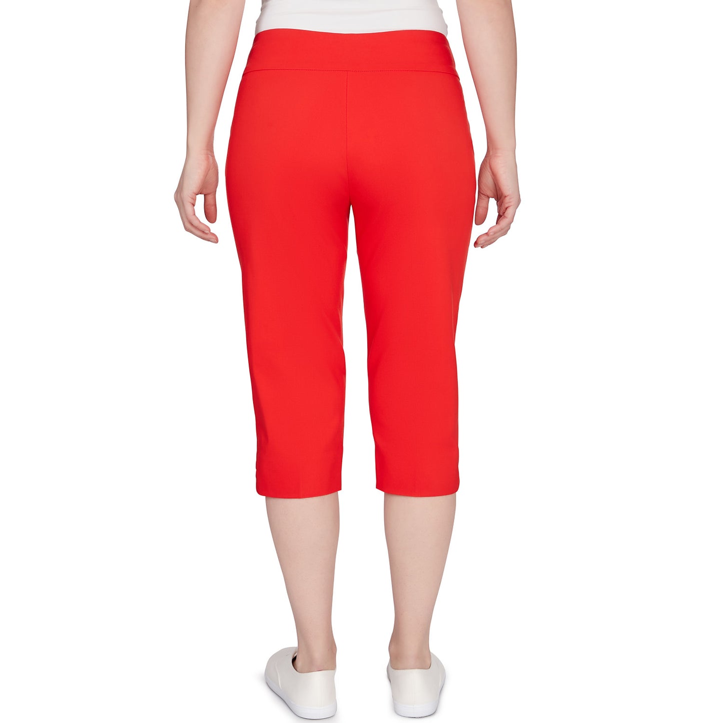 Americana Clamdigger Tomato - Ruby Rd