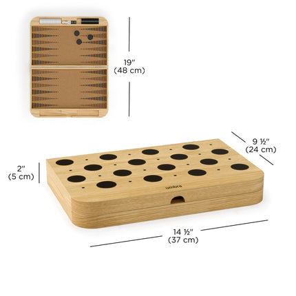 Blitz Backgammon