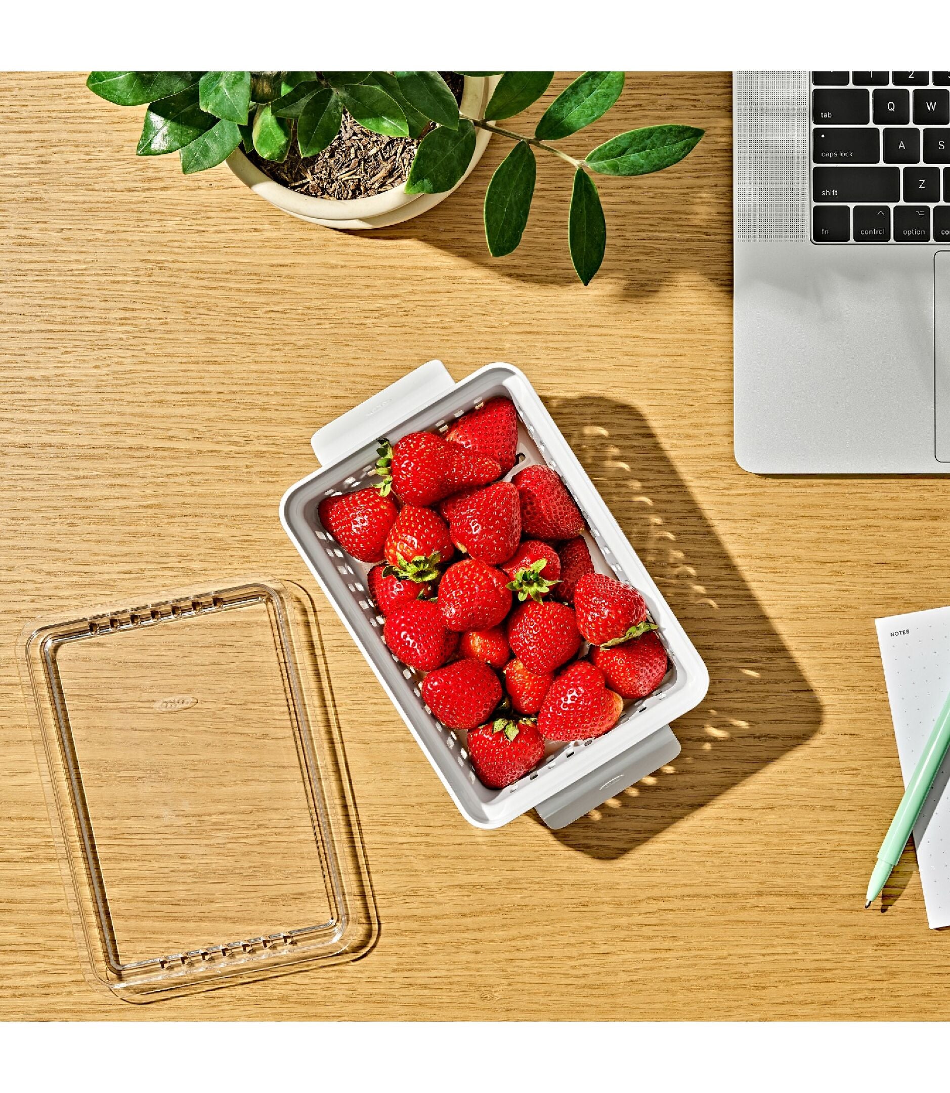 Produce Saver - Berry Keeper 2-Piece Set