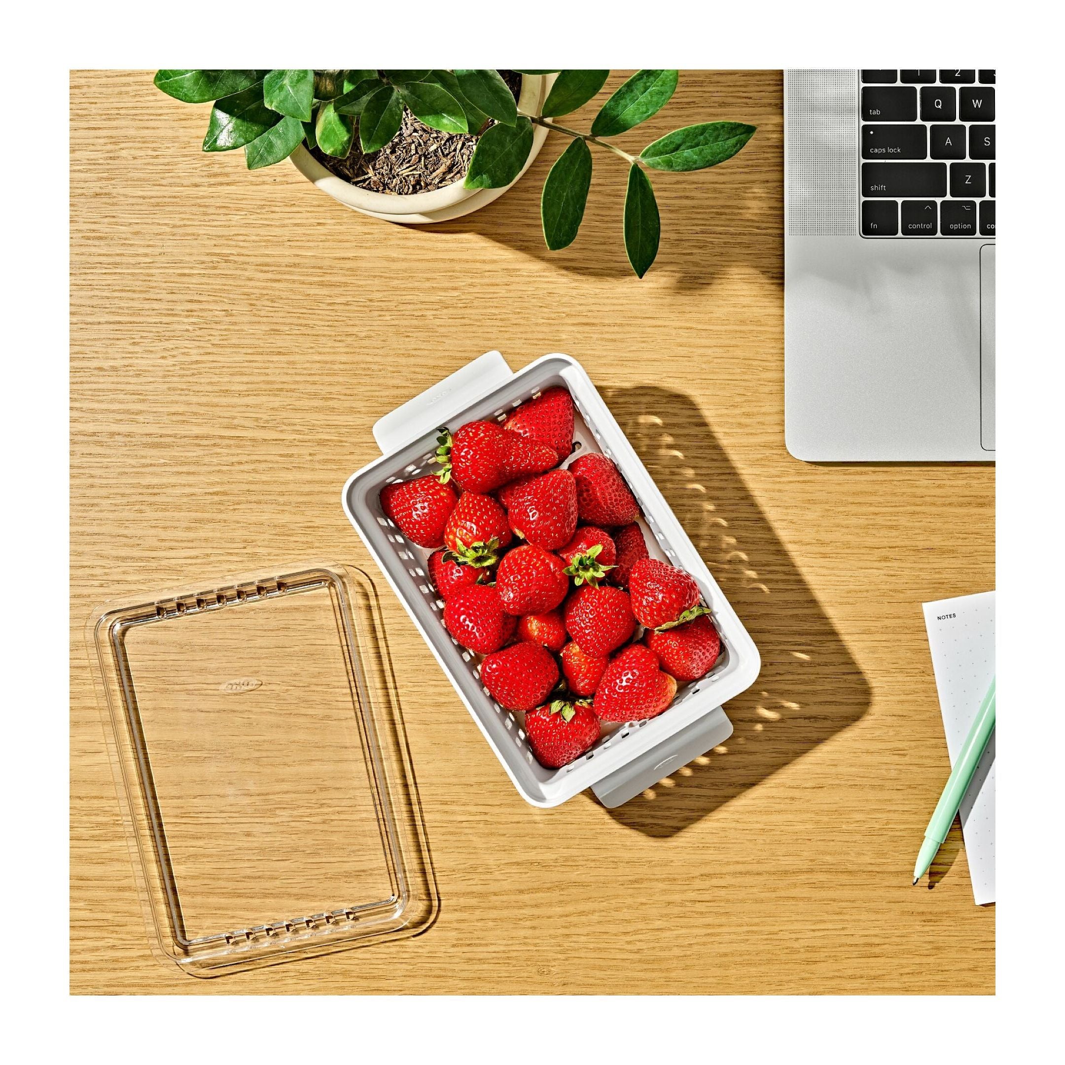 Produce Saver - Berry Keeper 2-Piece Set