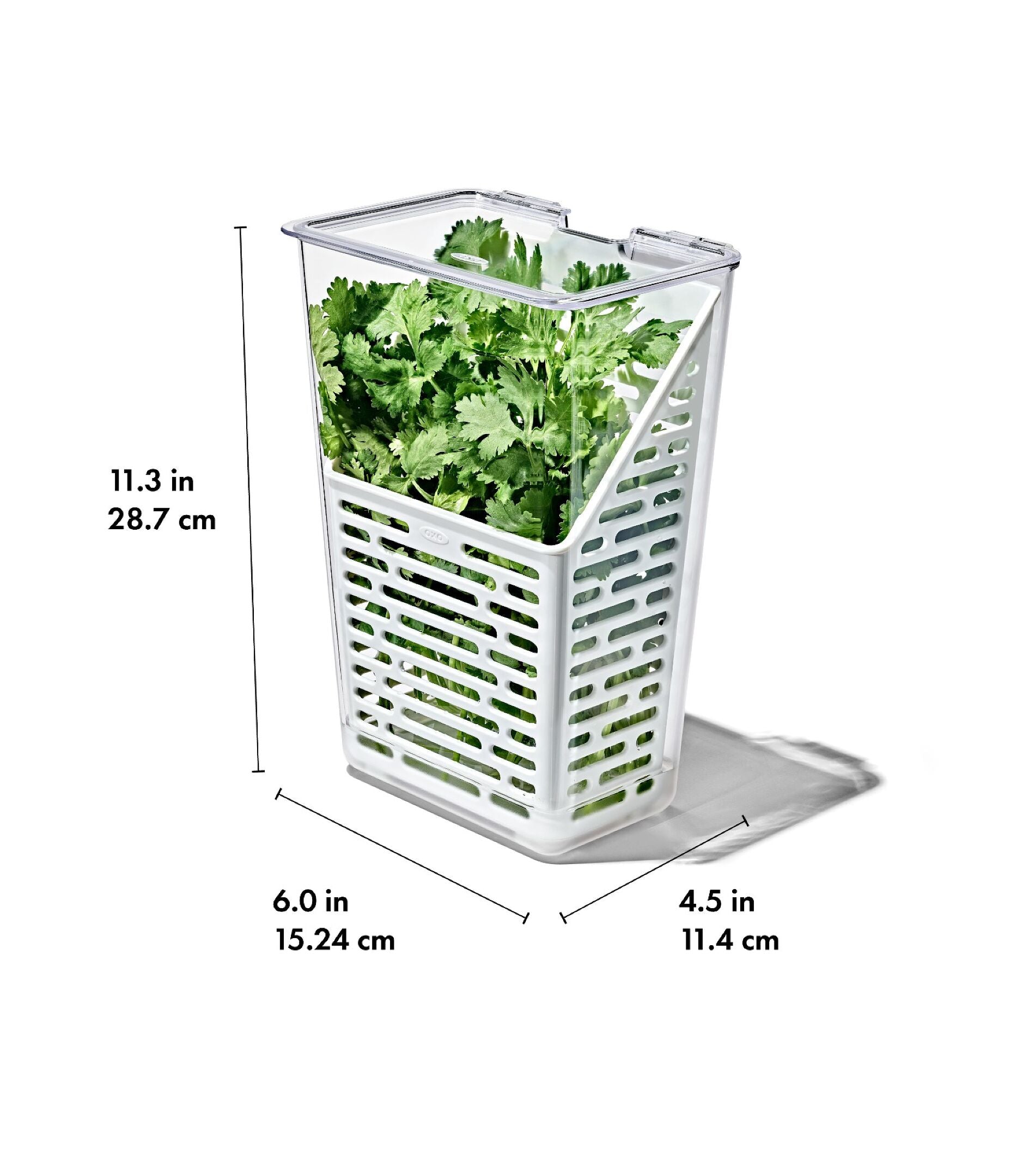 Produce Saver - Herb Keeper