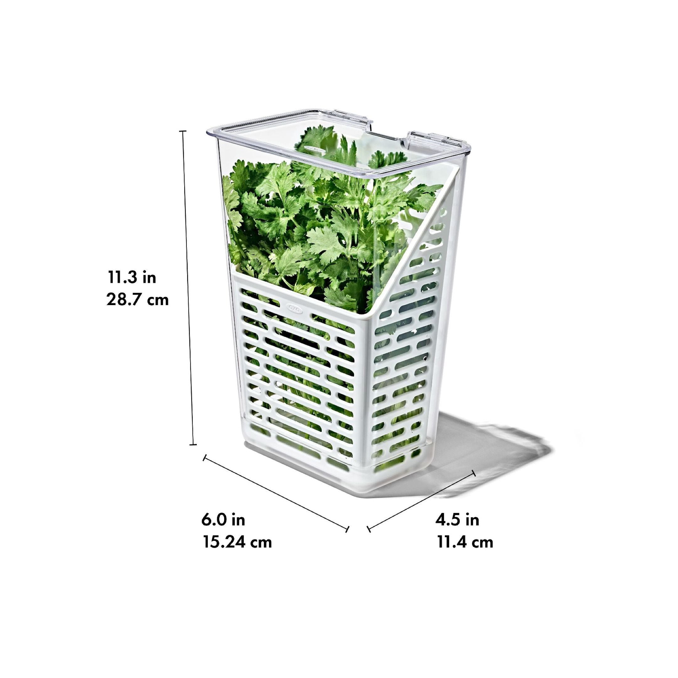 Produce Saver - Herb Keeper