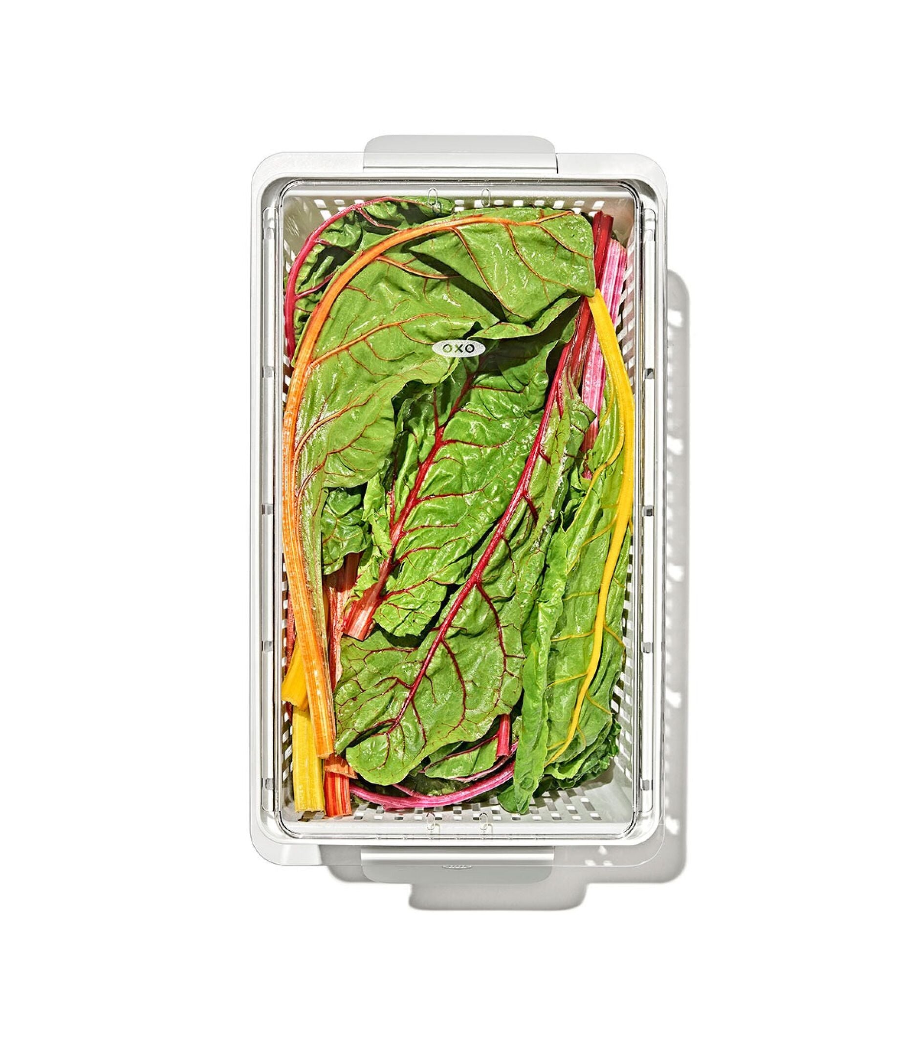 Produce Saver - Large Bin