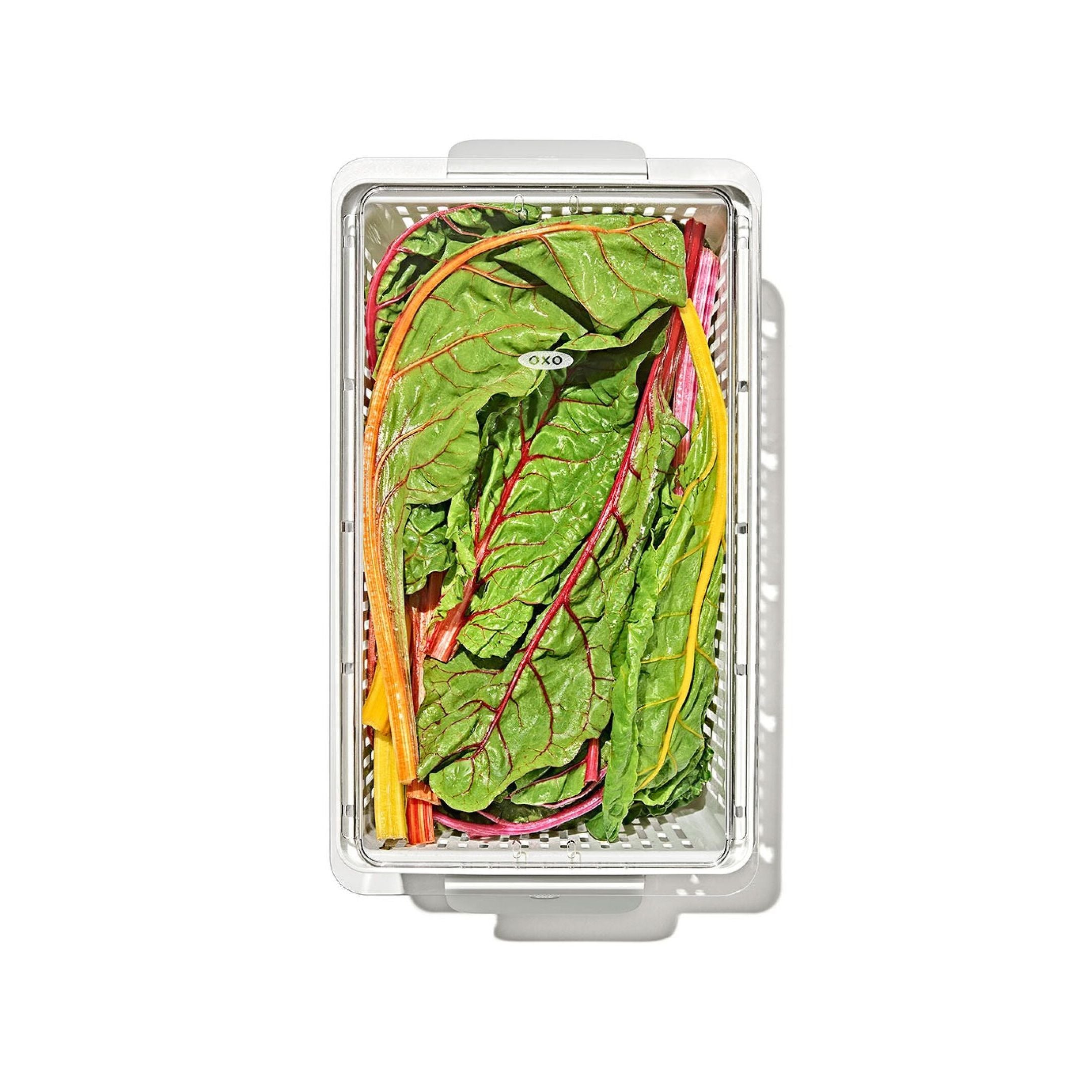 Produce Saver - Large Bin