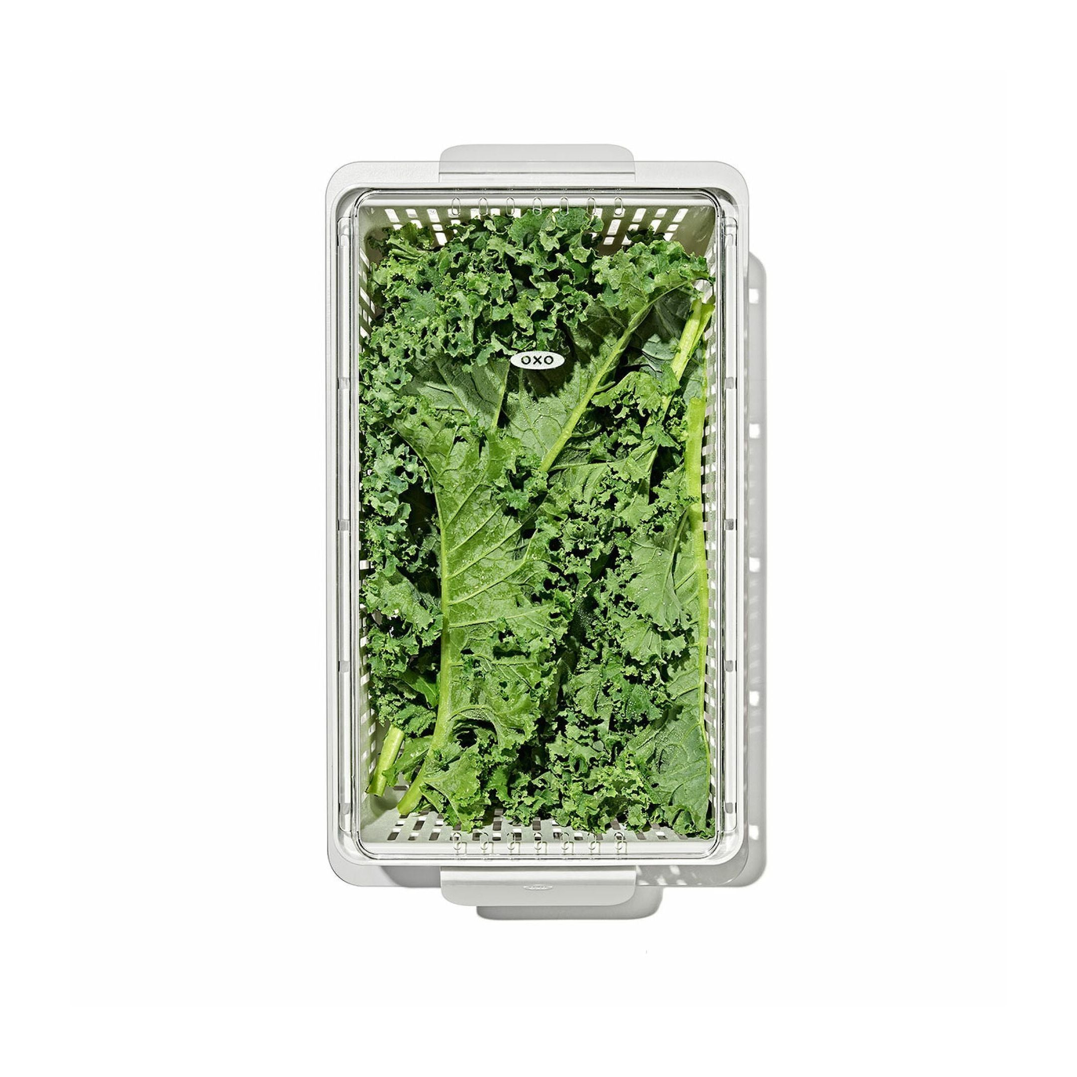 Produce Saver - Medium Bin