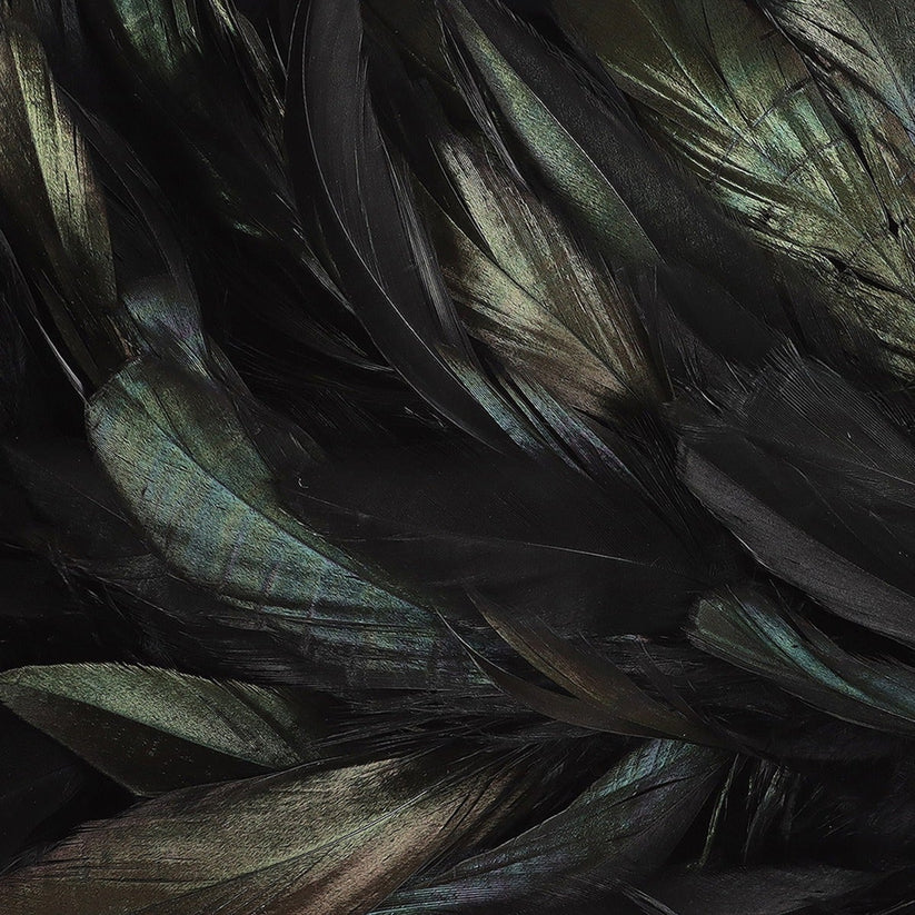 Schlappen Boa-Dyed Iridescent 8-10" - Black/Iridescent