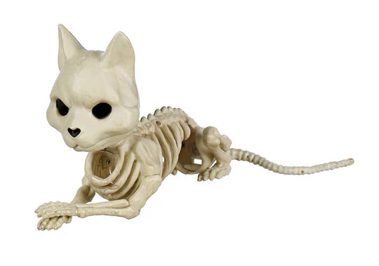 CUTE LAYING CAT SKELETON 5.25"