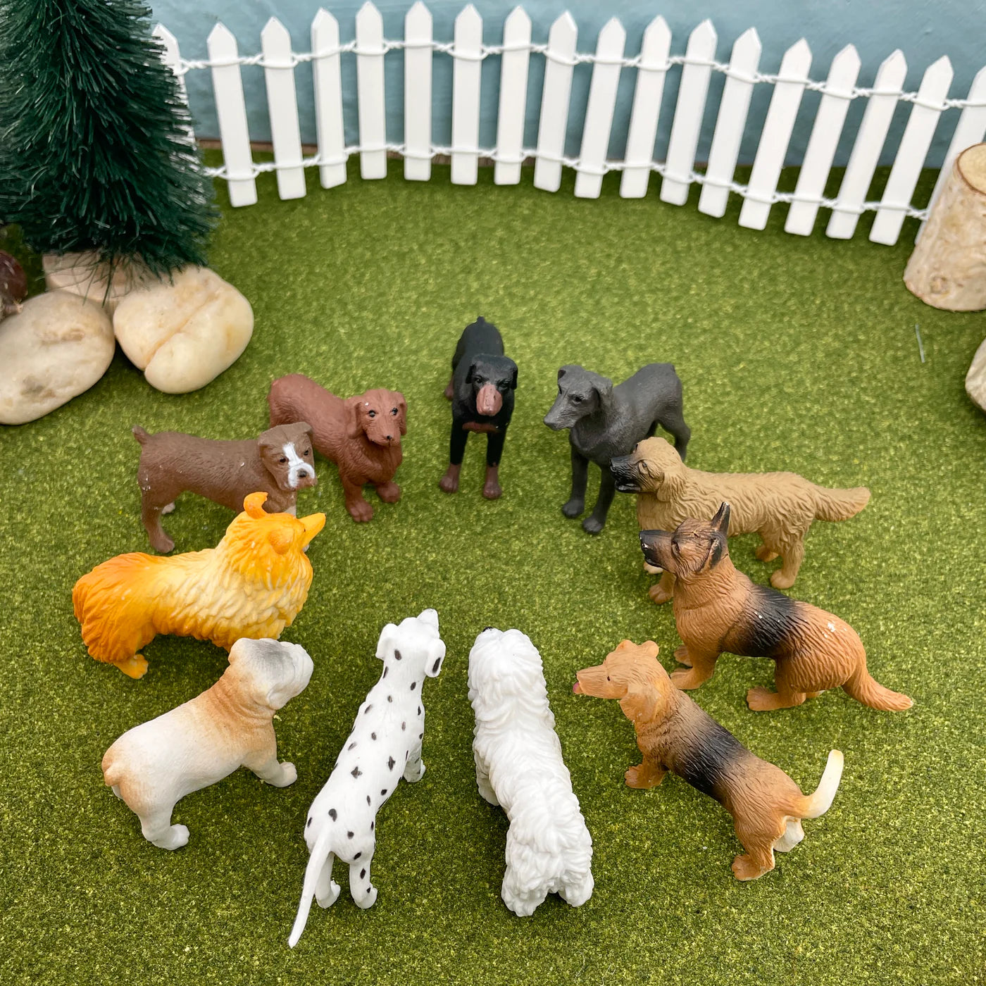 Dogs