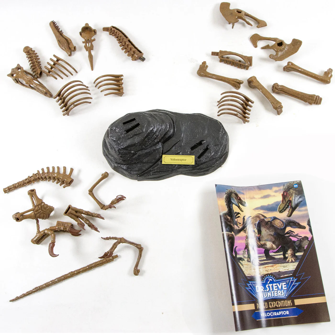 Paleo Expedition Velociraptor Replica Skeleton Kit