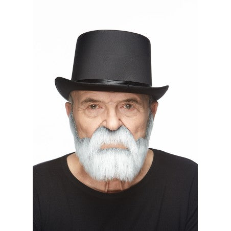 Mustache and beard, gray and white