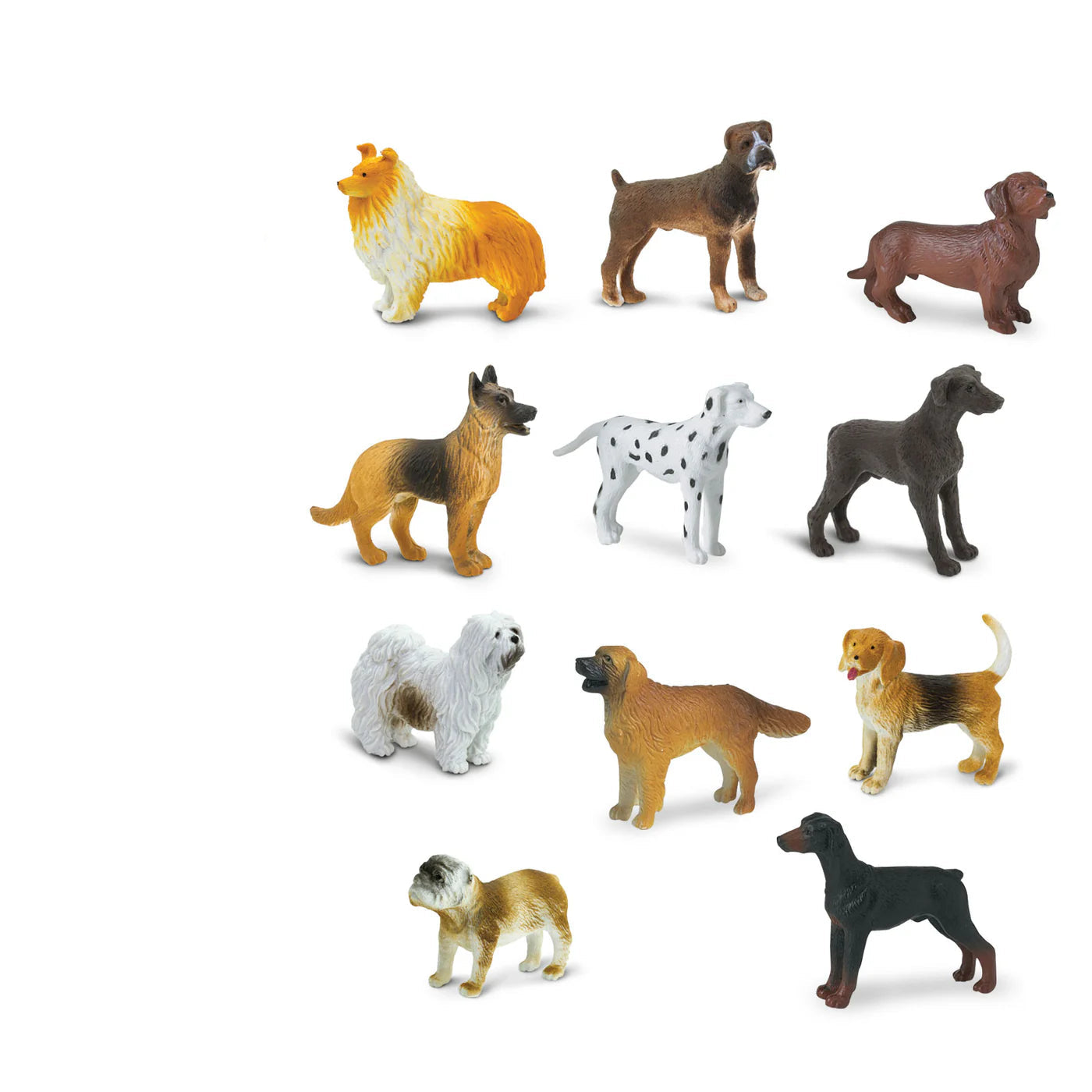 Dogs
