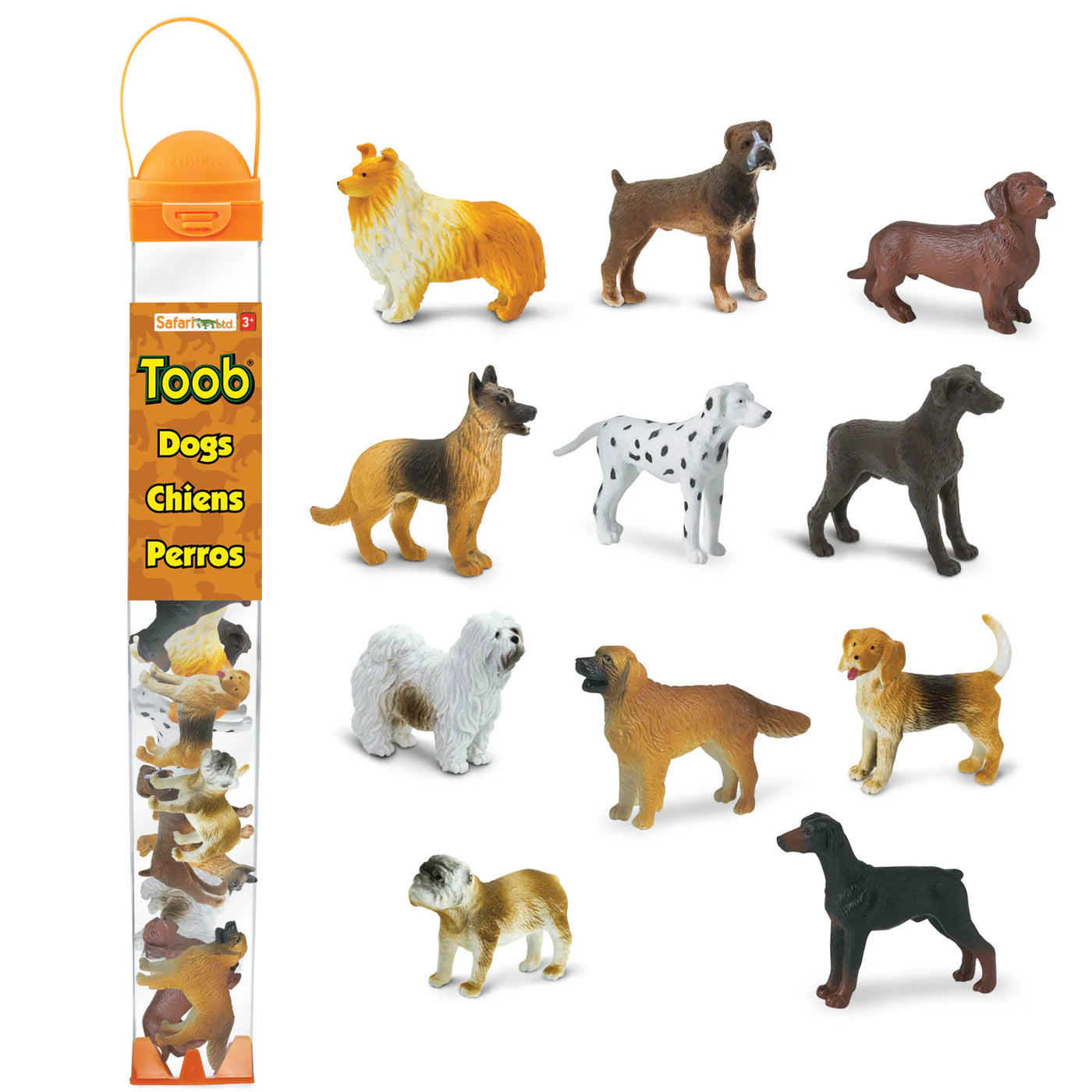 Dogs