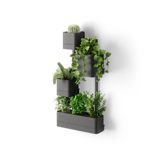 Cubiko Wall Planter