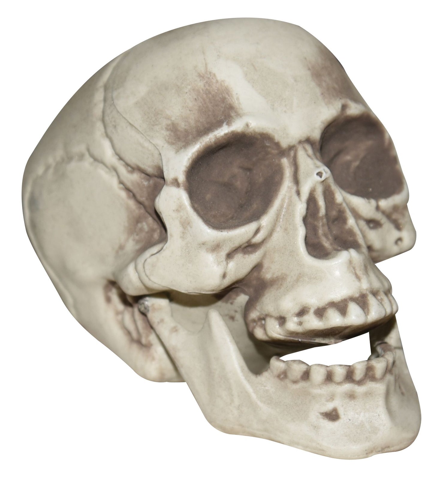 Tabletop skull