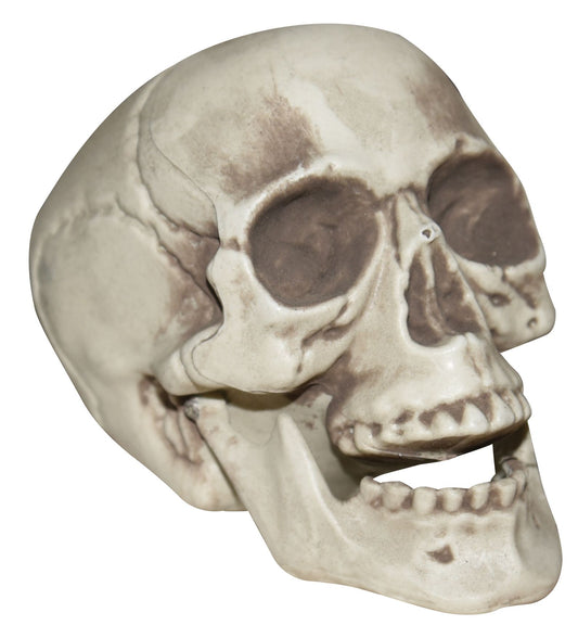 Tabletop skull