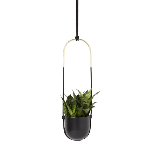 Bolo Hanging Planter
