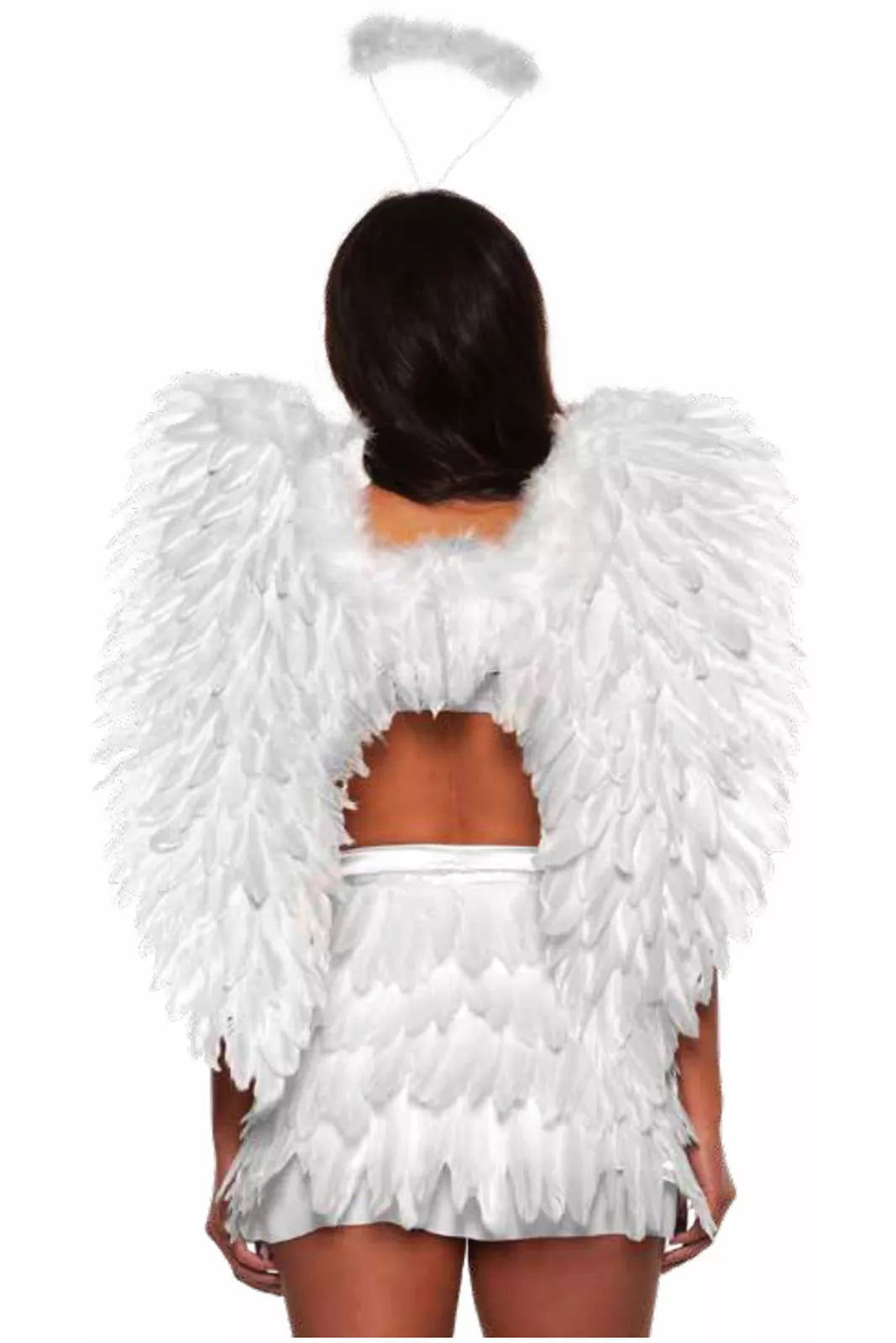 Wings-White Feather